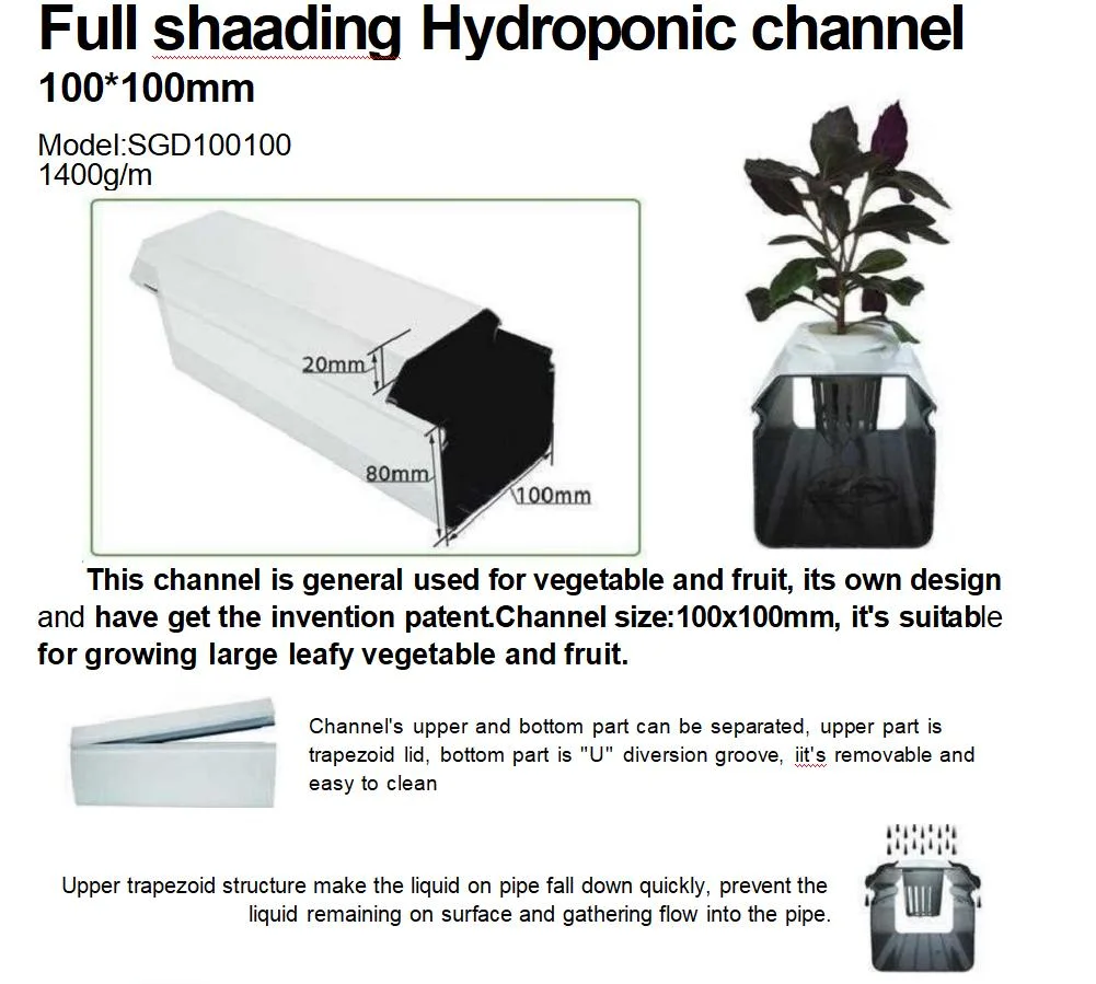 Specialized Production Tomato Special Hydroponic Facility for Growing